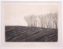 木村茂銅版画額　「丘」
