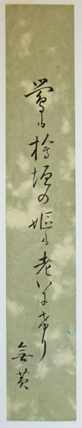 星野麦人短冊 「夕月や人もほのかに冴返る 麦人」 / 書苑