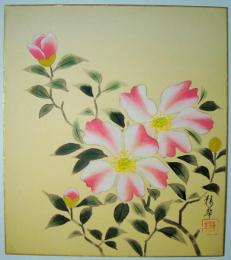 亀村精華色紙　「山茶花」