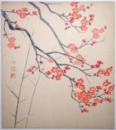井上白楊色紙 「紅梅図」
