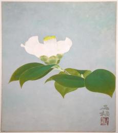 丸山石根色紙 「椿図」