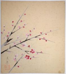 木本大果色紙 「紅梅図」