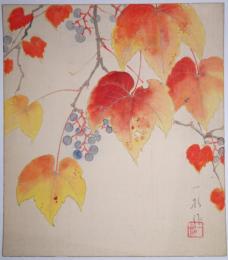 中塚一杉色紙 「野葡萄図」