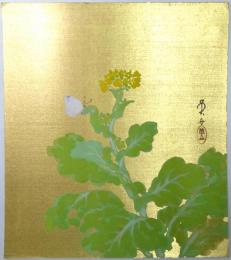 加藤英舟色紙 「菜の花に蝶図」