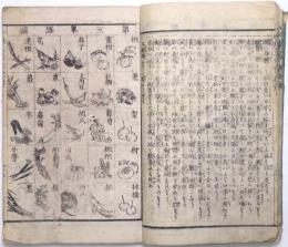 小學入門教授解