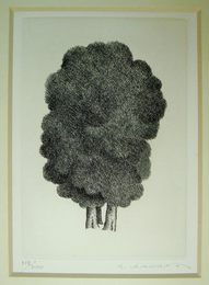 木村茂銅版画額　「樹」