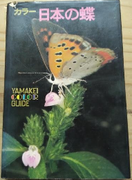 カラー 日本の蝶