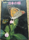 カラー 日本の蝶