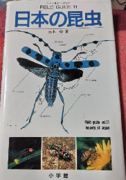 日本の昆虫