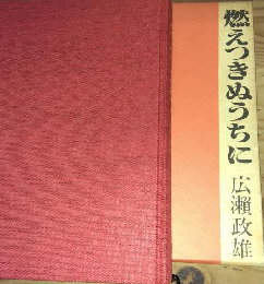 燃えつきぬうちに
