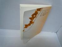 地域社会と人権　　　