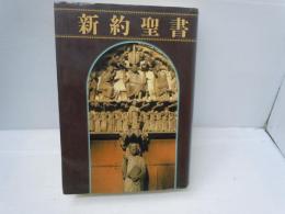 大形 新約聖書　　　　　/フェデリコ バルバロ (翻訳) 講談社　1989年2刷発行　    727ページ　　　　
