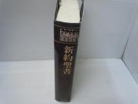 大形 新約聖書　　　　　/フェデリコ バルバロ (翻訳) 講談社　1989年2刷発行　    727ページ　　　　