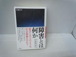 障害とは何か : ディスアビリティの社会理論に向けて　　　