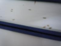 復刻版/付・解題　船舶百年史　前・後編　全2冊