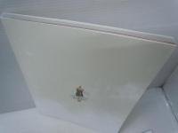 PIN-UP GIRLS Selection 2　　   青山ひかる 東雲うみ 鈴木ふみ奈 そよん 高崎かなみ 菜乃花 橋本梨菜 林田百加 　　 2022/10/25　