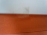 ユダヤの日本侵略450年の秘密　：ザビエルの日本上陸から自民党崩壊までここまで進んでいる日本民族抹殺計画　　