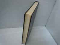 大学への微分・積分 (大学への数学シリーズ)　