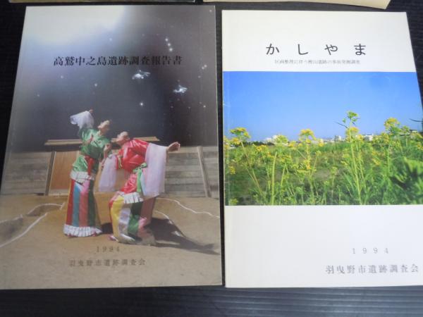 『冑山1号墳発掘調査報告書』 文化財調査報告書 陵山古墳の研究 考古学 遺跡 円墳 銅鏡 埴輪