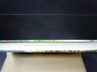 新説真宗史 : 法然から蓮如まで : 真宗史の通念を見なおす 　　　