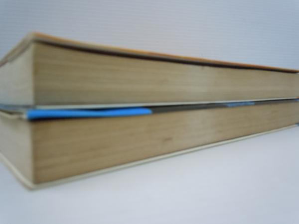高橋 佳子 (著) 真創世記 地獄編―今、明かされた魂の真実 真創世記