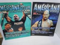 週刊プロレス別冊　盛夏季号 「アメリカーナ ドットコム」　夏季号　盛夏季号　新春号 「アメリカーナ ・センチュリー」　4冊