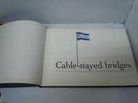 cable-stayed bridges [斜張橋]


