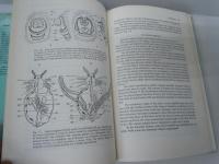 THE SILKWORM an important laboratory tool (カイコ　英語版　田島弥太郎)

