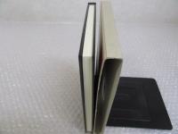 オイスター・ボーイの憂鬱な死