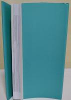 韓国映画100年史