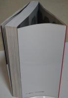 キャメラを持った男