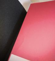 キネマ/新聞/カフェー : 大部屋俳優・斎藤雷太郎と『土曜日』の時代