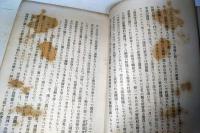 独逸デモクラシーの悲劇