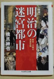 明治の迷宮都市 : 東京・大阪の遊楽空間