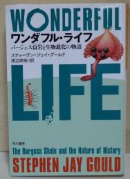 ワンダフル・ライフ : バージェス頁岩と生物進化の物語
