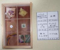 旅の標本　Ⅱ
