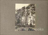 旧加藤写真館（出雲市）建築記録写真帖