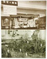 【絵葉書】農業博物館絵葉書