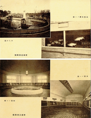 昭和12年4月 堺市立水族館 復興開館記念絵葉書 / 古本、中古本