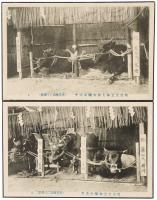 【絵葉書】明治天皇御大葬 轜車 御ひき牛