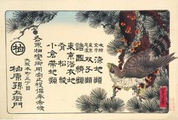 引札 染地類 双子類