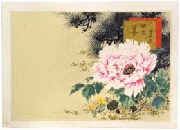 引札見本 不老冨貴