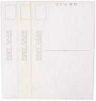 【絵葉書】前首相 斎藤子爵御夫妻 歓迎記念絵葉書