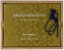 近畿防空大演習紀念写真帖（昭和九年七月二十六・七・八日挙行）