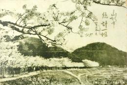 山形市統計一班