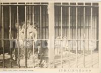 【絵葉書】みのお動物園写真帖