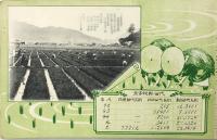 第14回 愛媛県農事大会紀念 （絵葉書帖）