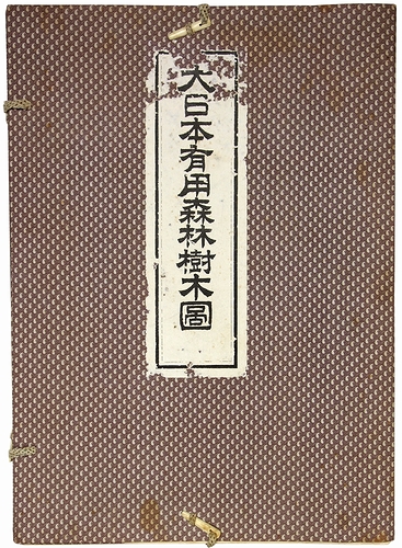 ⑧日本森林樹木図譜 講談社