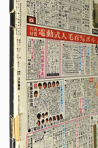 親鸞の名号論 根本言の動態的了解(本多弘之) / 光輪社 / 古本