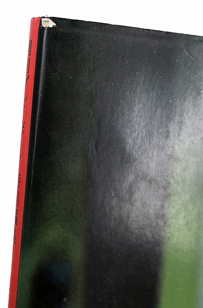 早乙女愛写真集(野村誠一（撮影）) / 古本、中古本、古書籍の